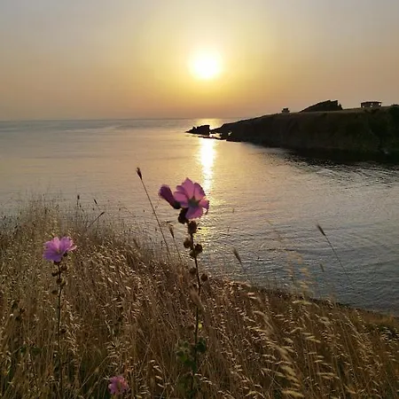 Art Capitain Sinemoretz