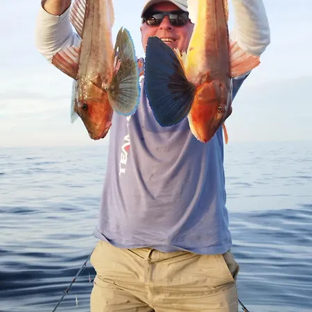 Pensionat Art Capitain Sinemoretz