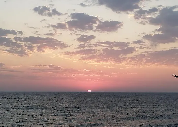 Art Capitain Affittacamere Sinemoretz