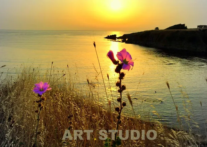 Art Capitain Sinemoretz