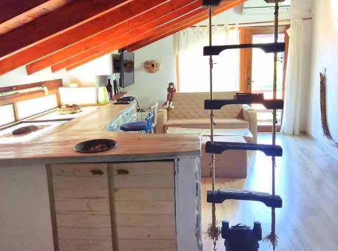 Art Capitain Guest house 3*