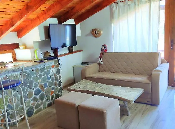 Art Capitain Guest house Sinemoretz