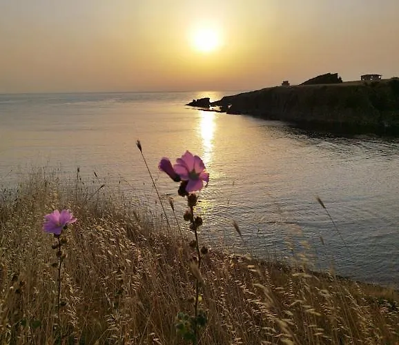 Art Capitain Sinemoretz