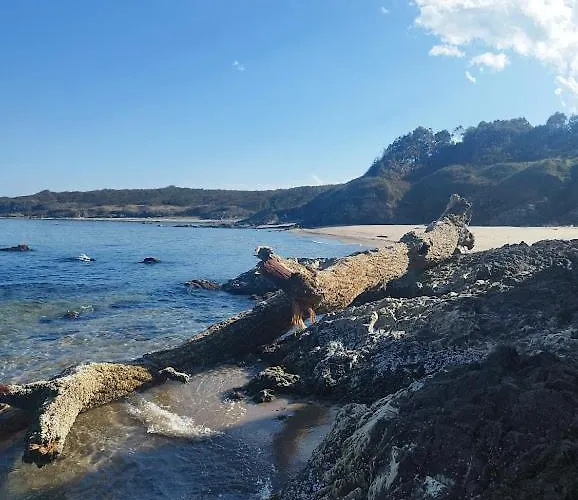 Art Capitain Guest house