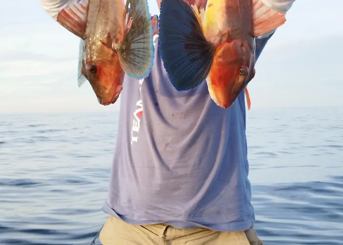 Guest house Art Capitain Sinemoretz